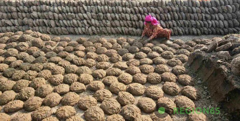 Навозные лепёшки