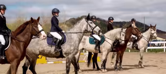  Участники турнира по конкуру