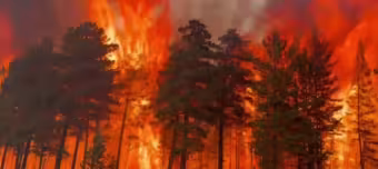 Пожар в Забайкайле