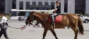Лошадь как первое средство индивидуальной мобильности