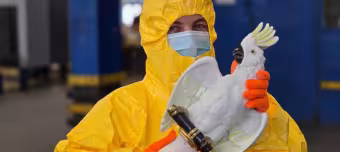 Радиоактивный попугай