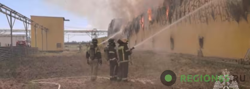 Пожар на «Владимировской» птицефабрики