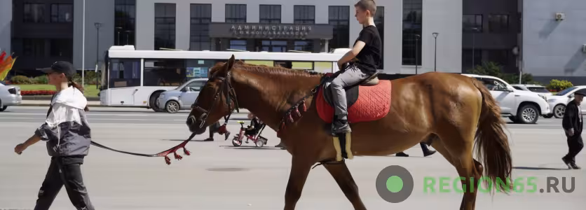 Лошадь как первое средство индивидуальной мобильности