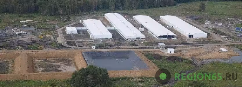 Свинокомплекс АО "Кудряшовское" входит в группу "Сибагро"